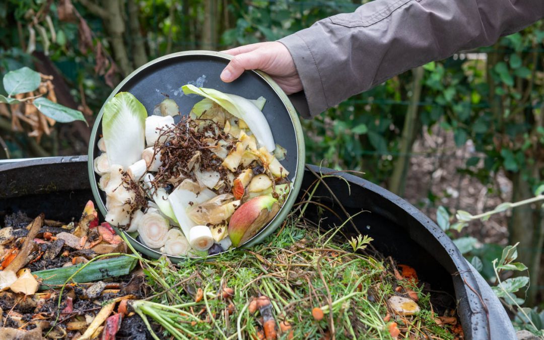 Nos conseils pour réaliser un compost de qualité